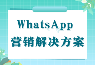 10种常见WhatsApp营销问题及大麦科技解决方案