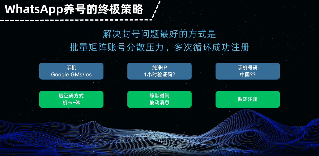 WhatsApp养号策略.png