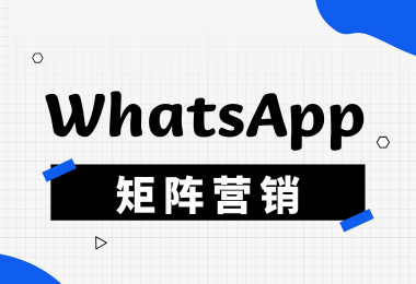 出海营销热捧，社交媒体老招新用超抢手，快来学学！