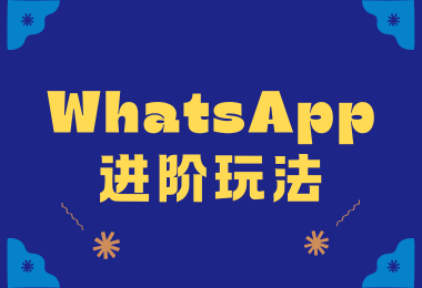 WhatsApp营销绝招！揭秘那些让你脱颖而出的进阶技巧