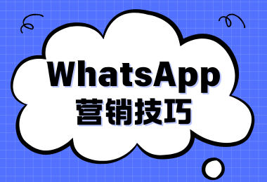 外贸跨境从业者采用WhatsApp营销‘秘密武器’后的现状如何？