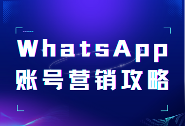 WhatsApp新手宝典：从注册到运营，一站式攻略！