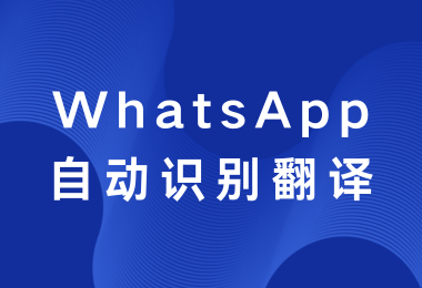 WS内嵌自动翻译还永久免费，有这好事？