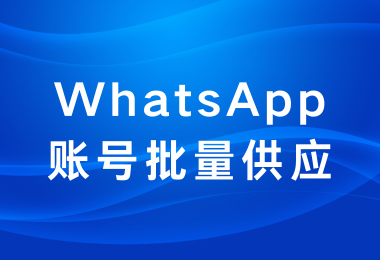 WhatsApp账号批量供应，专业解封服务保障