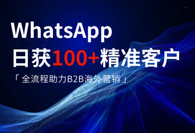 如何日获100+精准客户的WhatsApp，全流程助力B2B海外营销