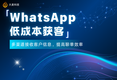 外贸企业如何利用WhatsApp私域营销逆势增长？