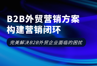 大麦B2B外贸方案，实现从获客到复购的营销闭环。