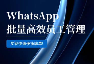 WhatsApp系统批量高效员工管理，实现快速便捷聊单！