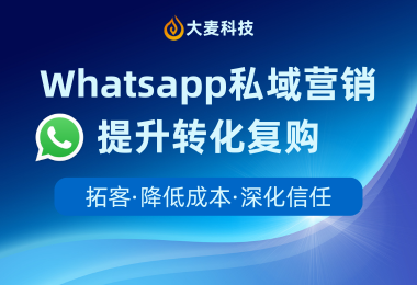 WhatsApp精细化运营，全面提升外贸增长效率