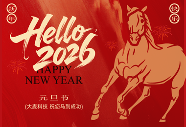 大麦科技在这里祝您元旦快乐！马到成功！