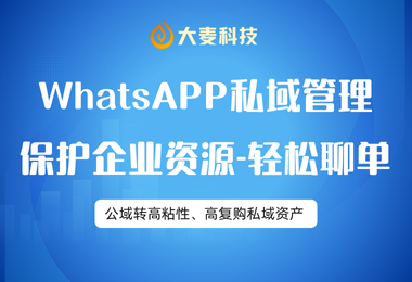 杜绝飞单私单：WhatsApp客户资源保护与监管系统